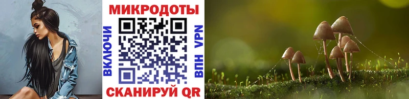 Галлюциногенные грибы Psilocybe  цена   блэк спрут tor  Каменск-Уральский 